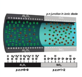 Elucidating the Mechanisms of Charge and Temperature Modulated Ionic ...