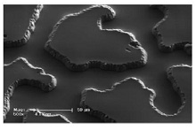 Navier-Stokes Solutions for Flow and Transport in Realistic Porous Media