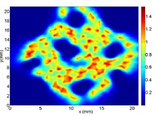 Modeling of the Impact of Blood Vessels Flow on the Temperature ...