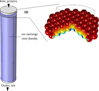 Protein Adsorption