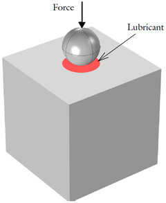 Transient Elastohydrodynamic Squeeze-Film Interaction