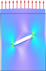 Angle Crack Embedded in a Plate