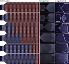 Numerical and Experimental Studies of a Capillary Channel